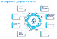 A Diagram Showing the 8 DMIL domains